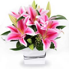Lily in elegant vase
