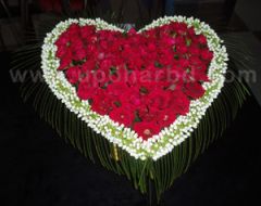 Red roses for love