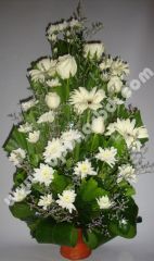 30 white roses in a vase