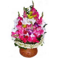 Bouquet in terracotta pot