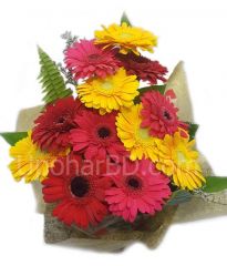 Collection of Gerbera