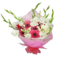 Gladiolus & Gerbera Mix