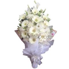 White Elegancy